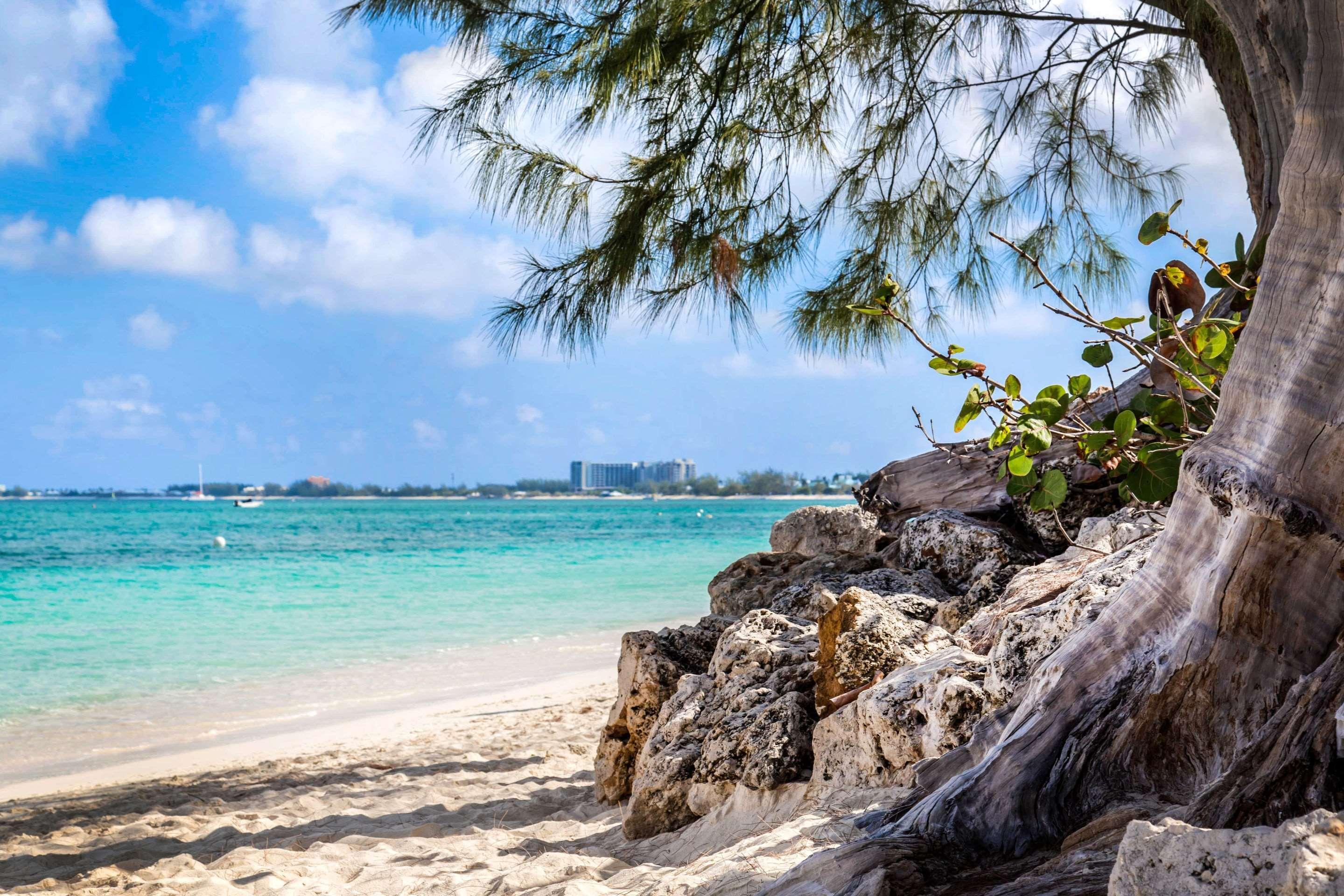 ג'ורג' טאון Hampton By Hilton Grand Cayman Seven Mile Beach מראה חיצוני תמונה